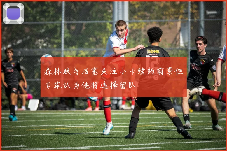 森林狼与活塞关注小卡续约前景但专家认为他将选择留队