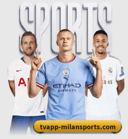 用内容积累长期价值 - milan.com
