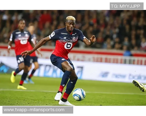 加拉认为奥斯梅恩是切尔西重返巅峰的关键希望他能加盟球队